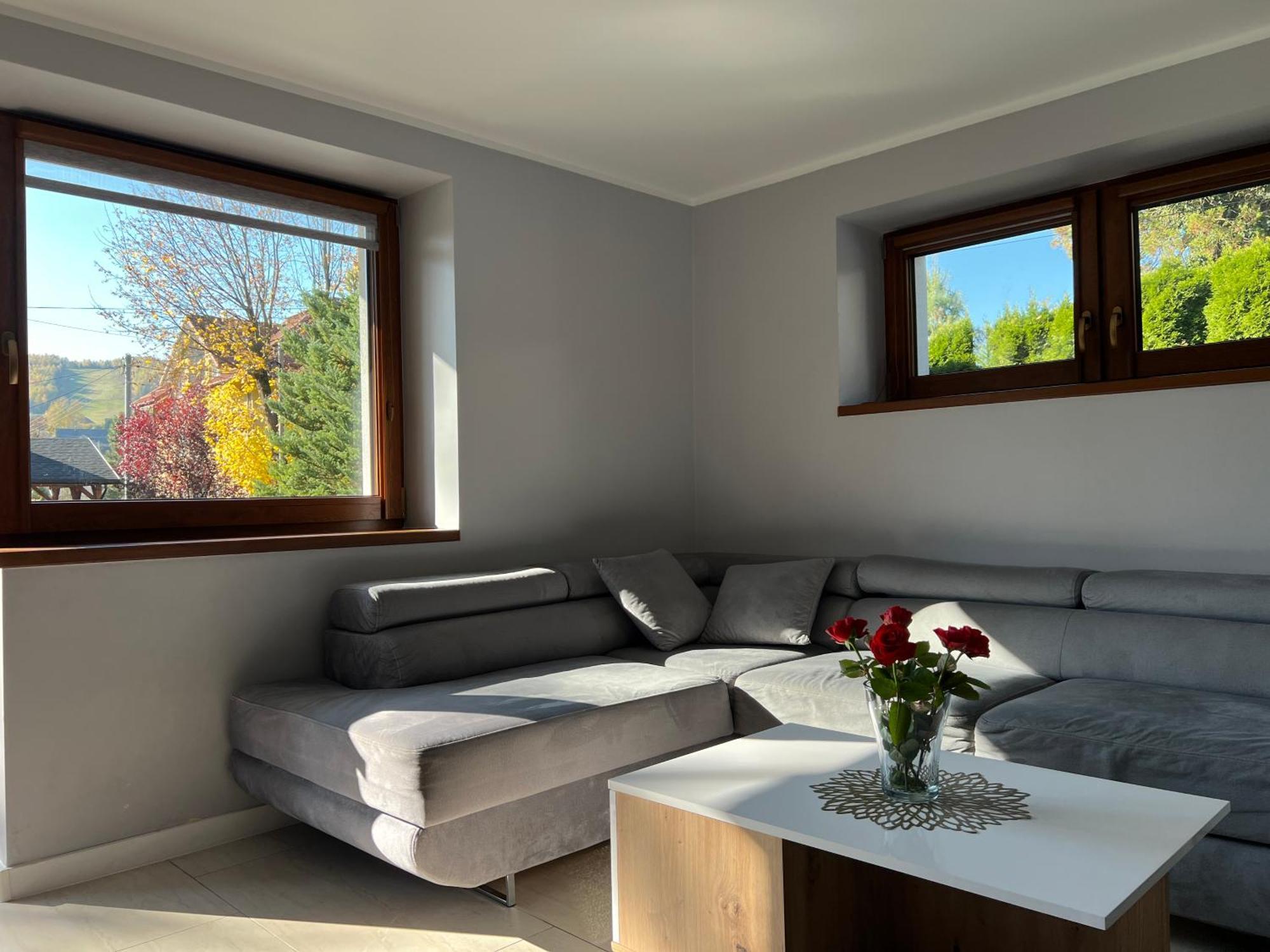 Apartamenty River Wisła Εξωτερικό φωτογραφία